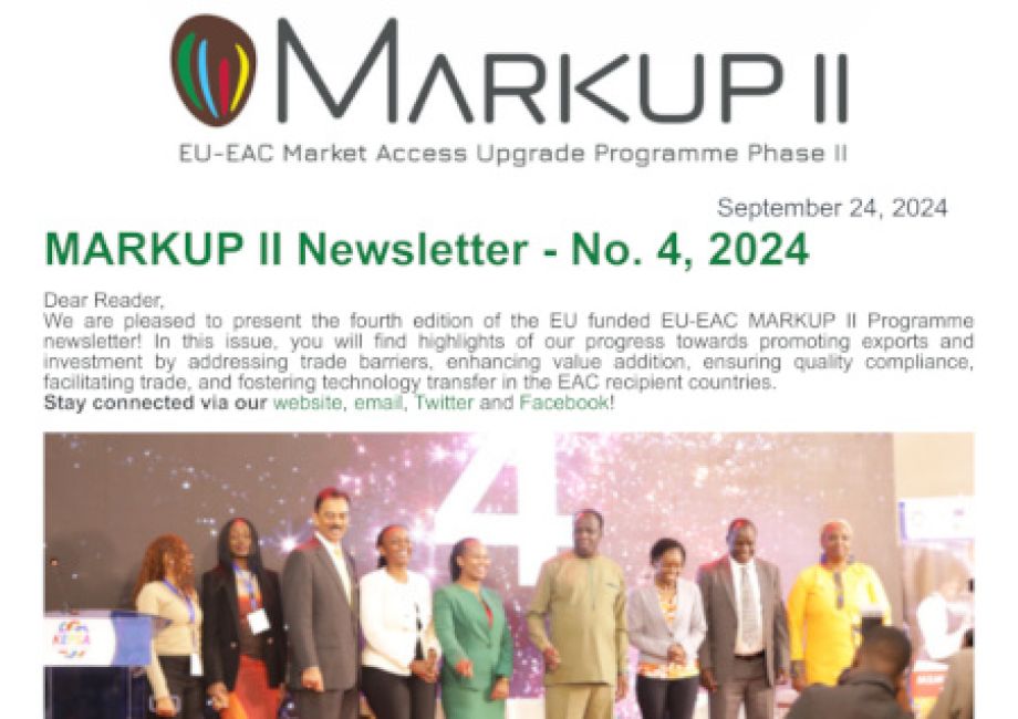 Markup II Newsletter 3 introduction