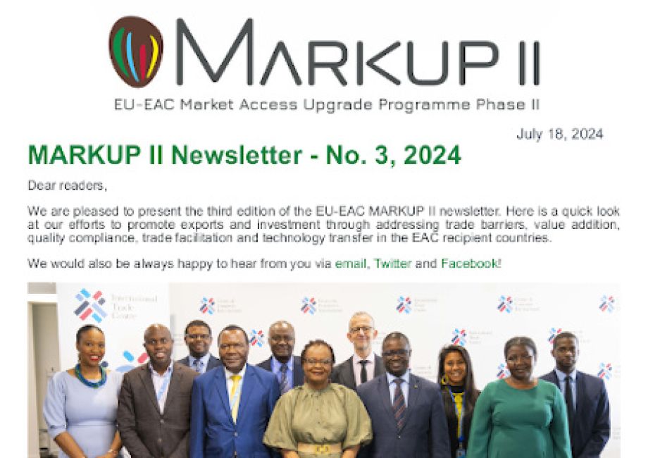 Markup II Newsletter 3 introduction